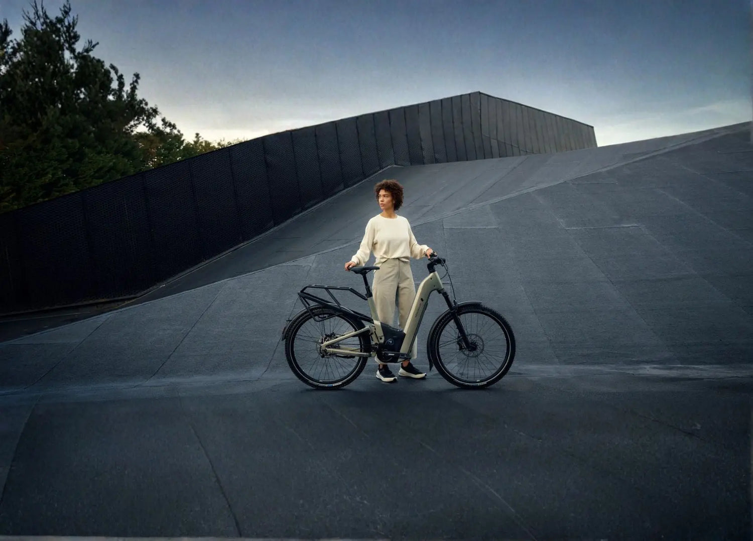 Riese & Muller Bosch Gen 5 EBikes