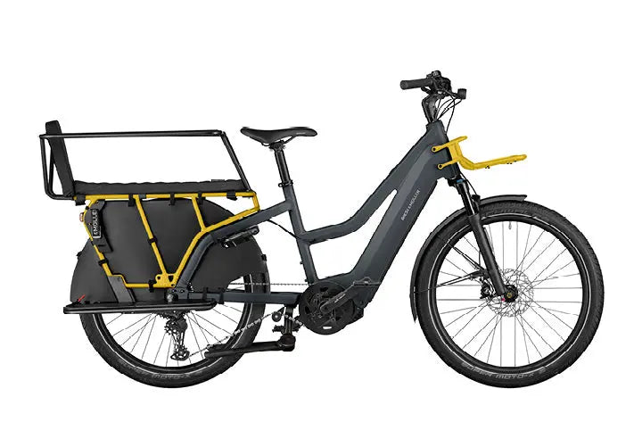 Riese Muller Multicharger2 Mixte GT Family EBike – Electric