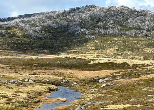 Kosciusko to Sea. EBB's Grand EBike Tour 2024
