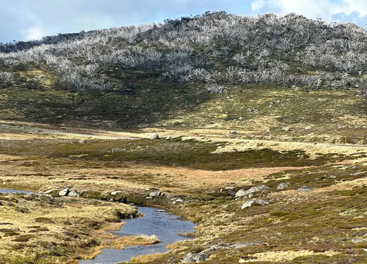 Kosciusko to Sea EBike Tour