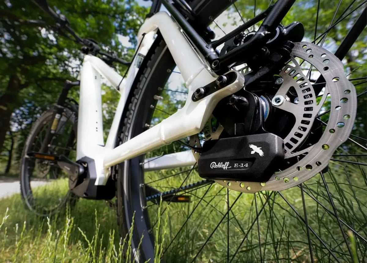 Carbon belt drive and Rohloff 14-speed internal gear hub on the rear wheel of a premium touring eBike