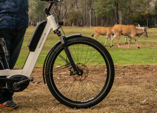 Riese & Muller  Nevo riding centra west cycle trail at dubbo zoo | Electric Bikes Brisbane