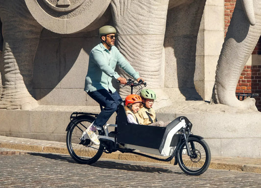 Premium Cargo Electric Bikes: The Smart Way to Beat the School Run (and Beyond) | Electric Bikes Brisbane