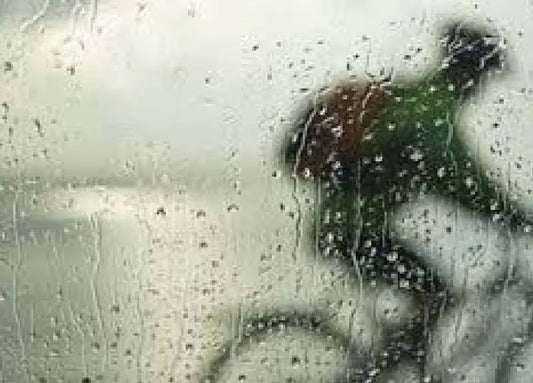 E-Bikes and the Rain: Do's and Don'ts | Electric Bikes Brisbane