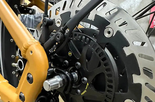 ABS Brake rotors on Riese & Muller Load4 75 cargo ebike