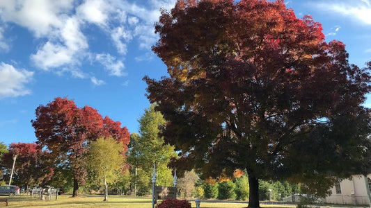 Orange Villages EBike Tour by @ebike_andy