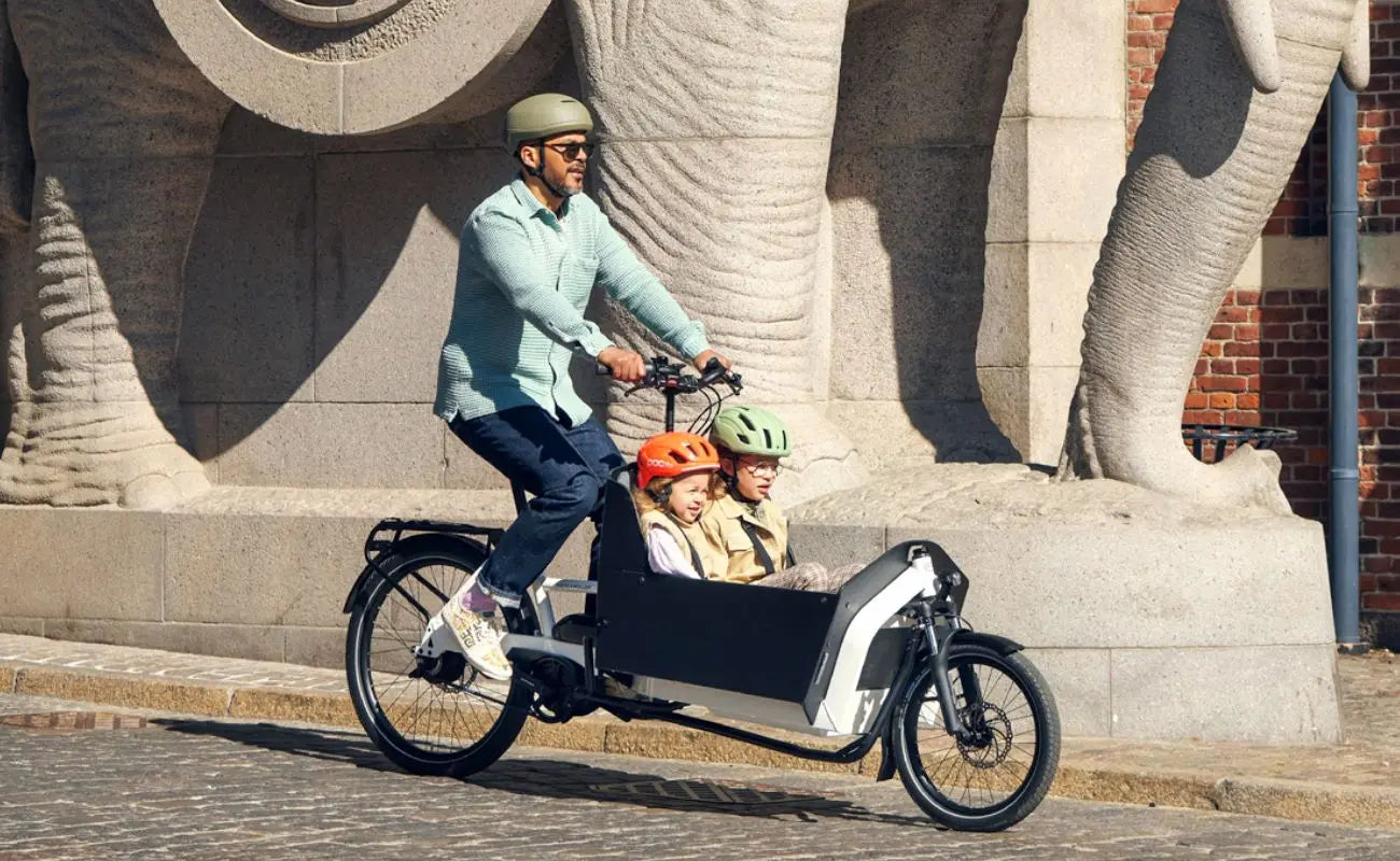 Riese & Muller Front Loader Cargo E-Bikes