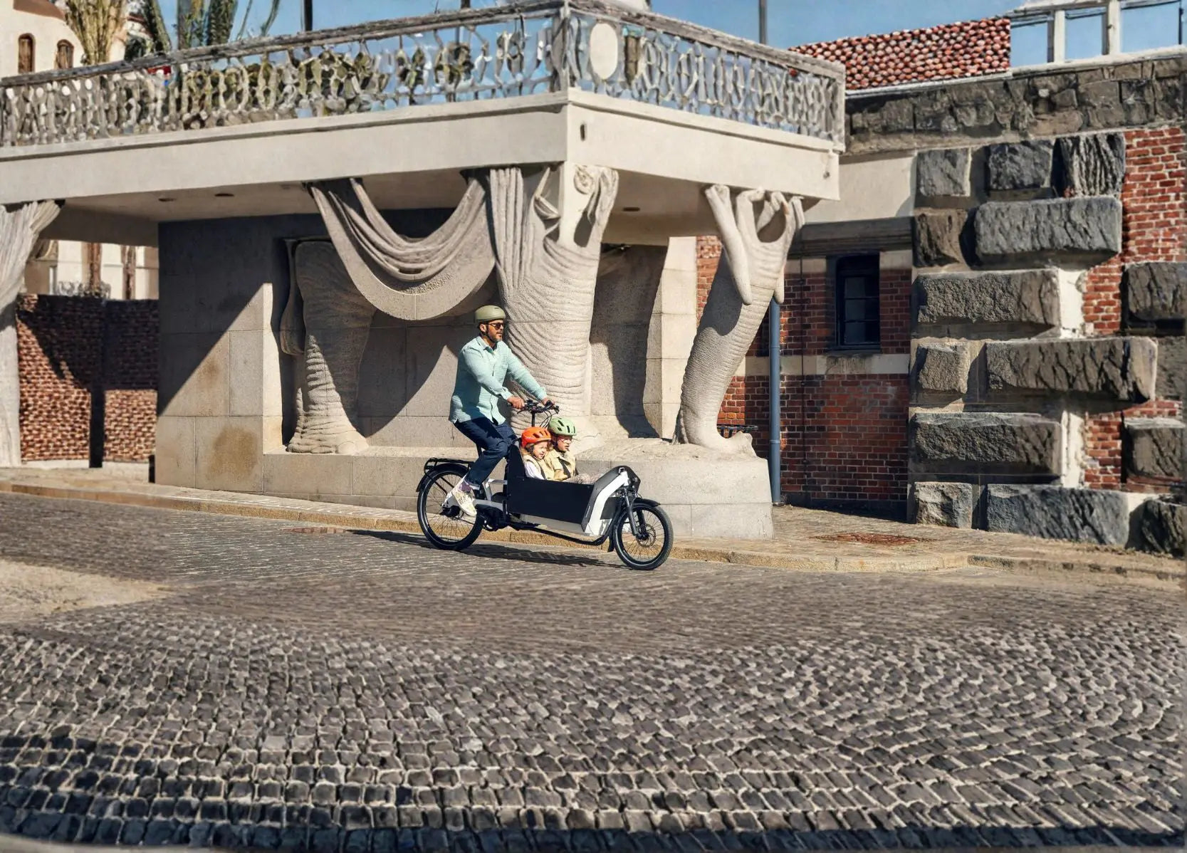 Riese & Muller Front Loader Cargo E-Bikes