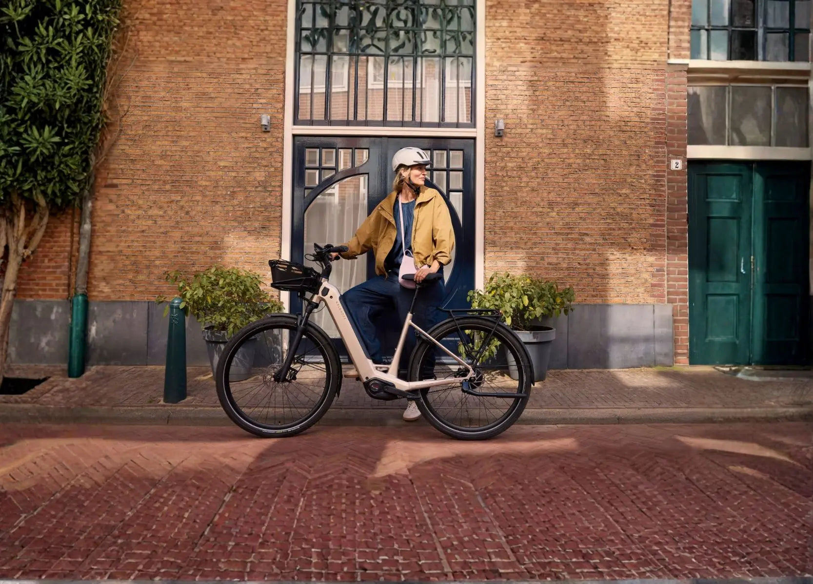 Stepthrough Electric Bikes