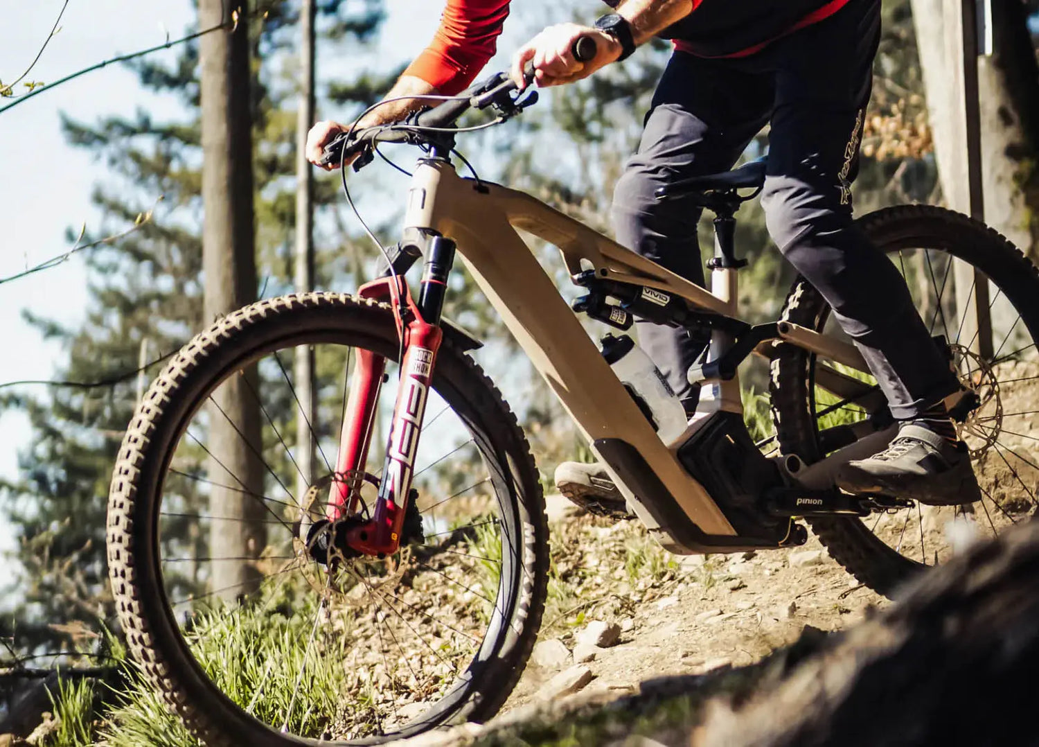 Pinion Electric Bikes