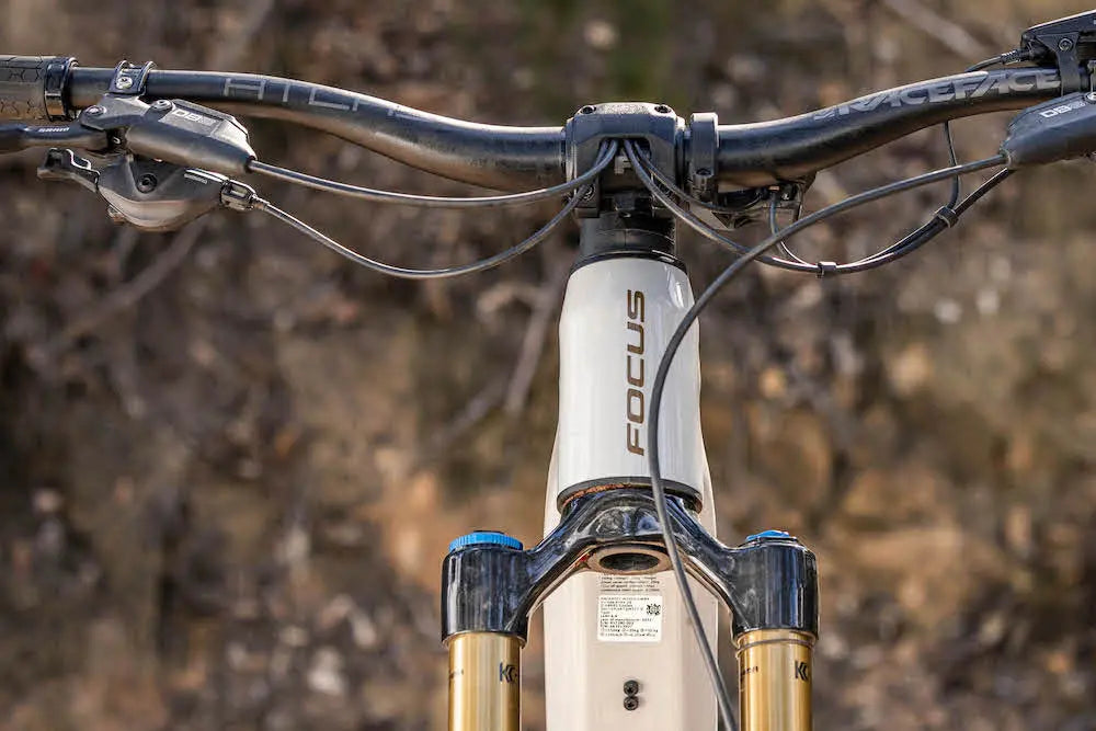 Focus Electric Bikes