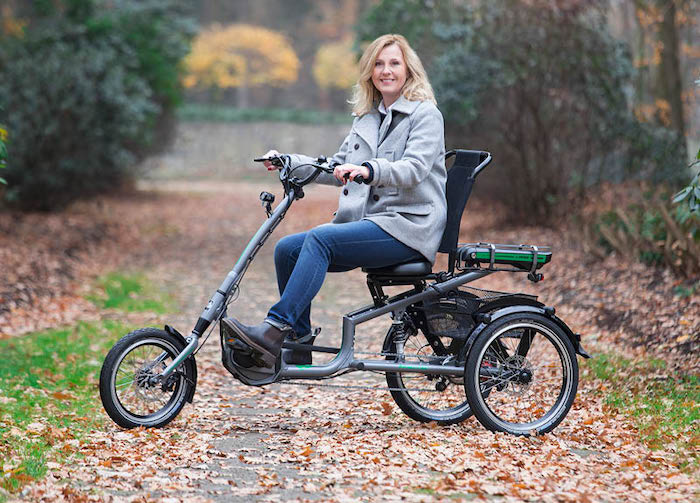 Electric Trikes and Tandems