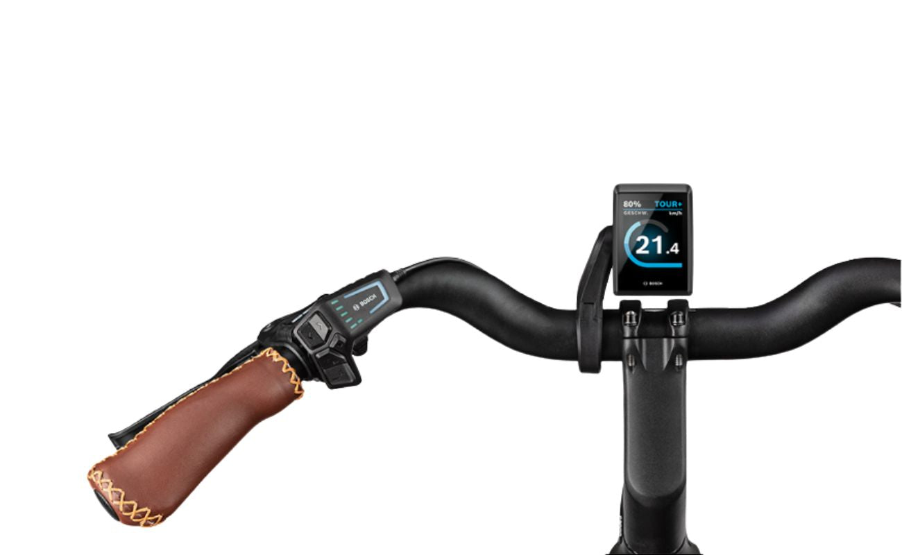 Riese & Müller Swing5 Silent Bosch Kiox 300 display and leather-look handlebar grip