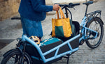 Riese & Müller Load5 75 Vario Arctic cargo E-Bike with cargo load