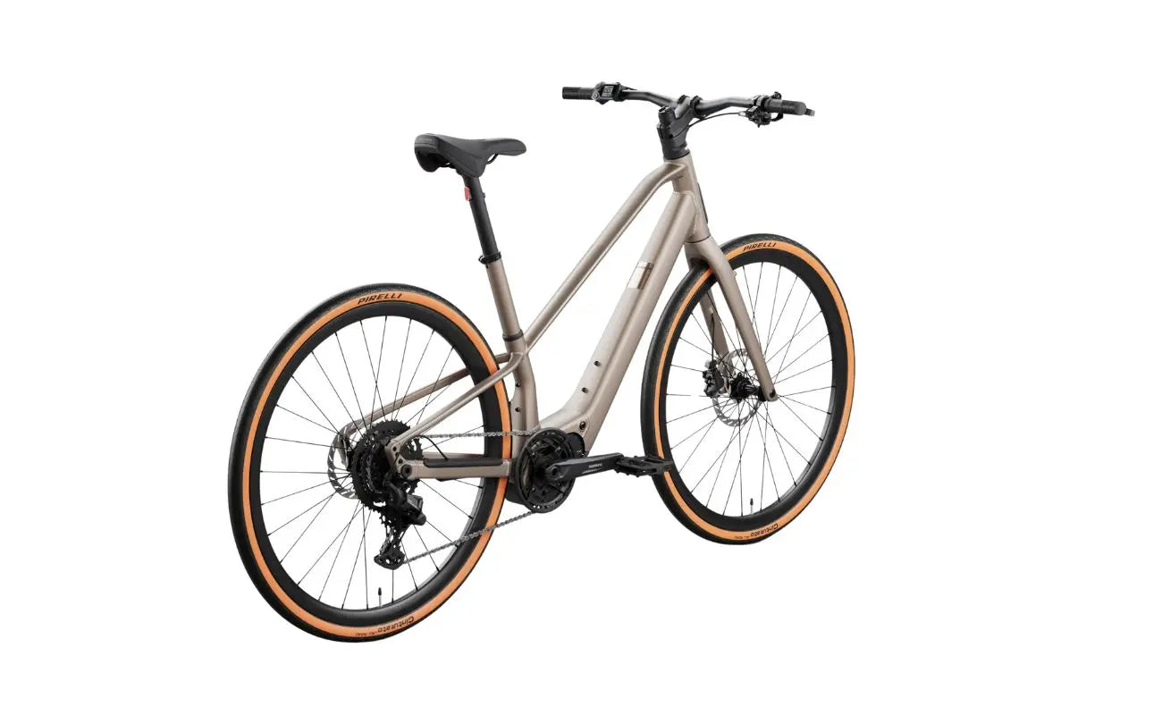 Orbea Carpe 25 E-Bike in Nickel Colorway Rear View | Electric Bikes Brisbane