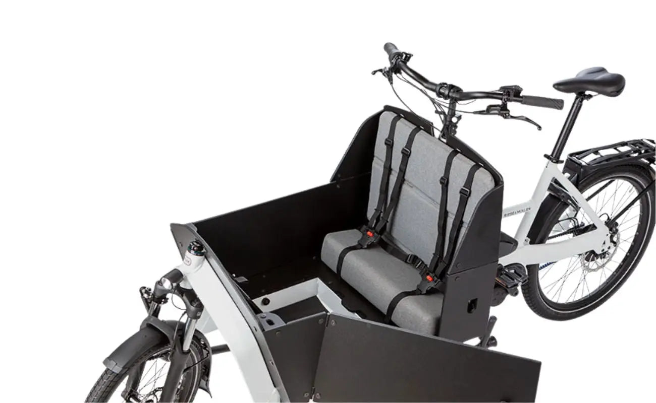 Riese & Müller Transporter2 65 Vario double child seat cargo box detail