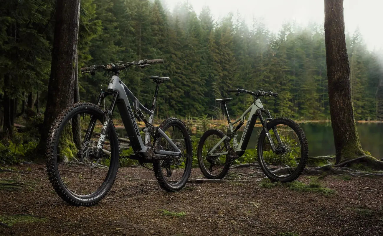 Amflow PR Carbon EMTB and Pro in a lakeside view | Electric Bikes Brisbane