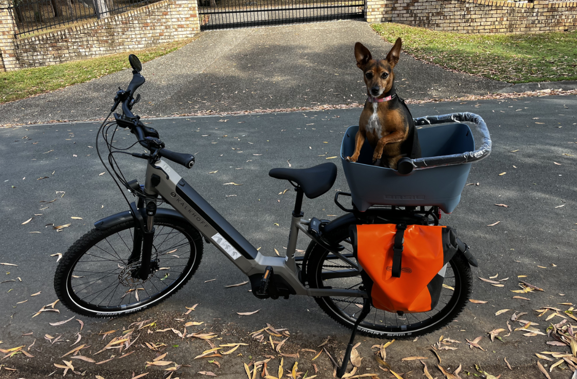BASIL Buddy Dog Bicycle Basket MIK 2.0 Faded Demin installed in an Ebike with a dog.