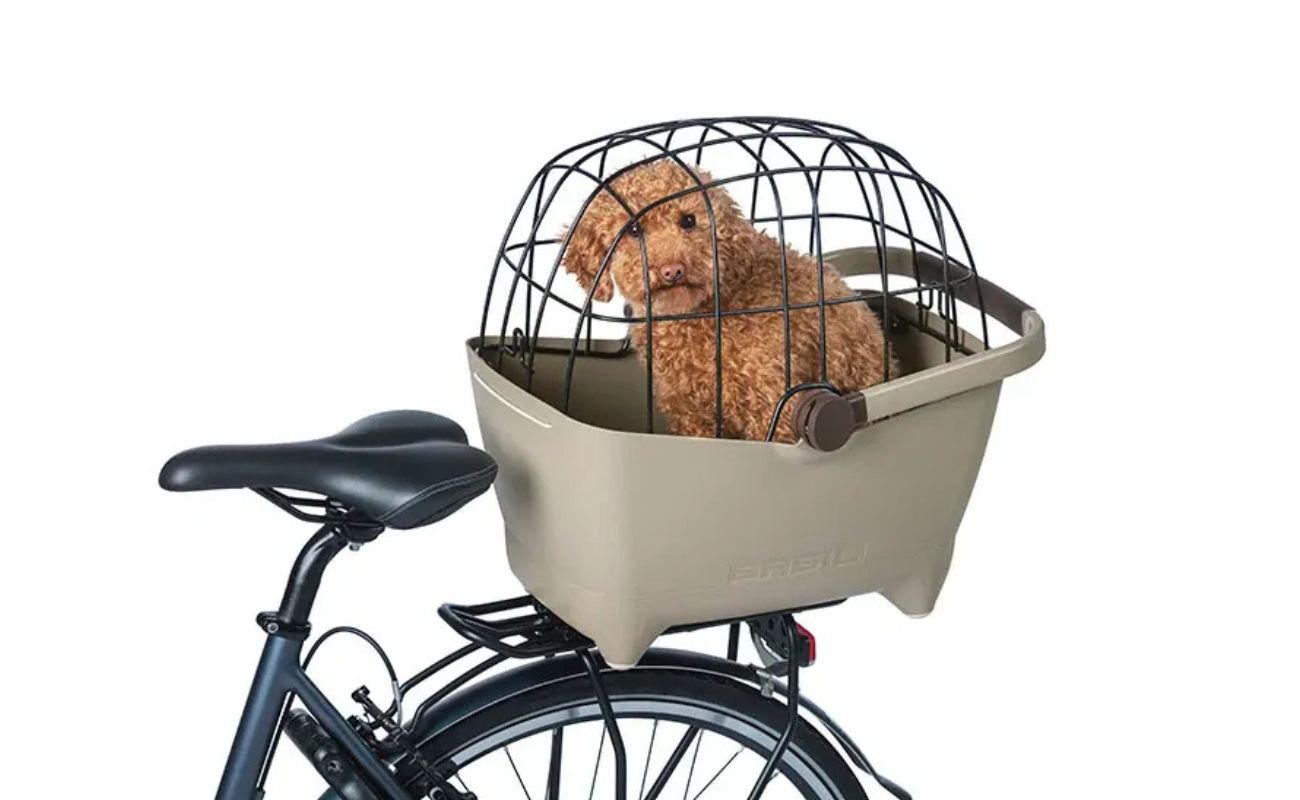 Dog in a bike basket with a white background | Electric Bikes Brisbane