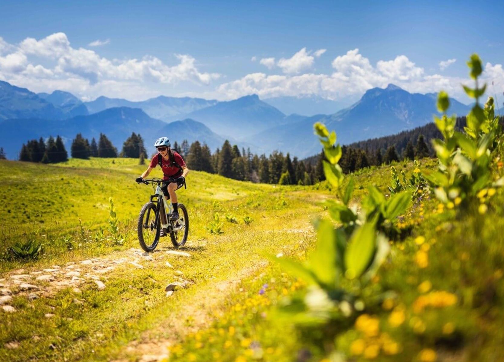 About Ebikes
