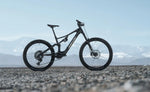 Amflow PX Carbon EMTB in mountain background | Electric Bikes Brisbane
