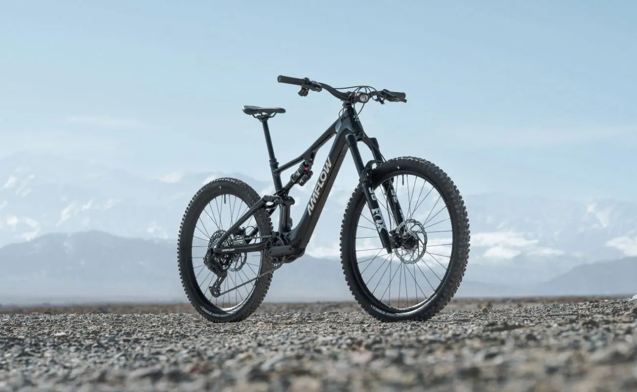 Amflow PX Carbon eMTB alternative view | mountainous background