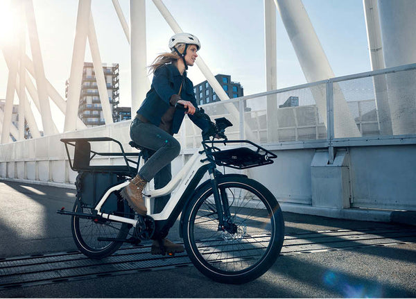 Riese & Muller Multicharger Mixte GT Vario 750 EBike | Electric Bikes Brisbane