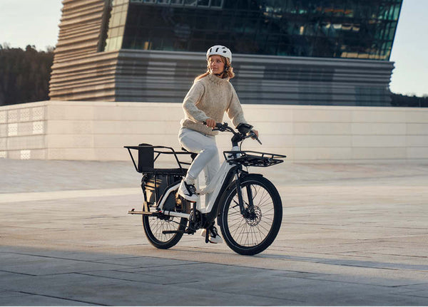 Riese & Muller Multicharger Mixte GT Vario 750 EBike | Electric Bikes Brisbane