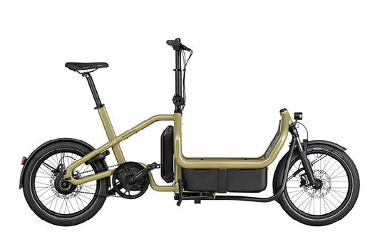 Riese & Muller Carrie Vario Cargo EBike, Anise | Electric Bikes Brisbane