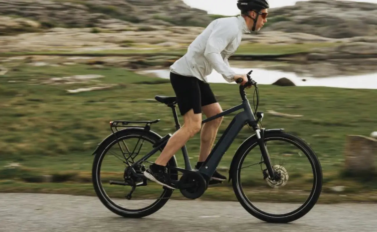 Kalkhoff Entice L.B Season Gents EBike