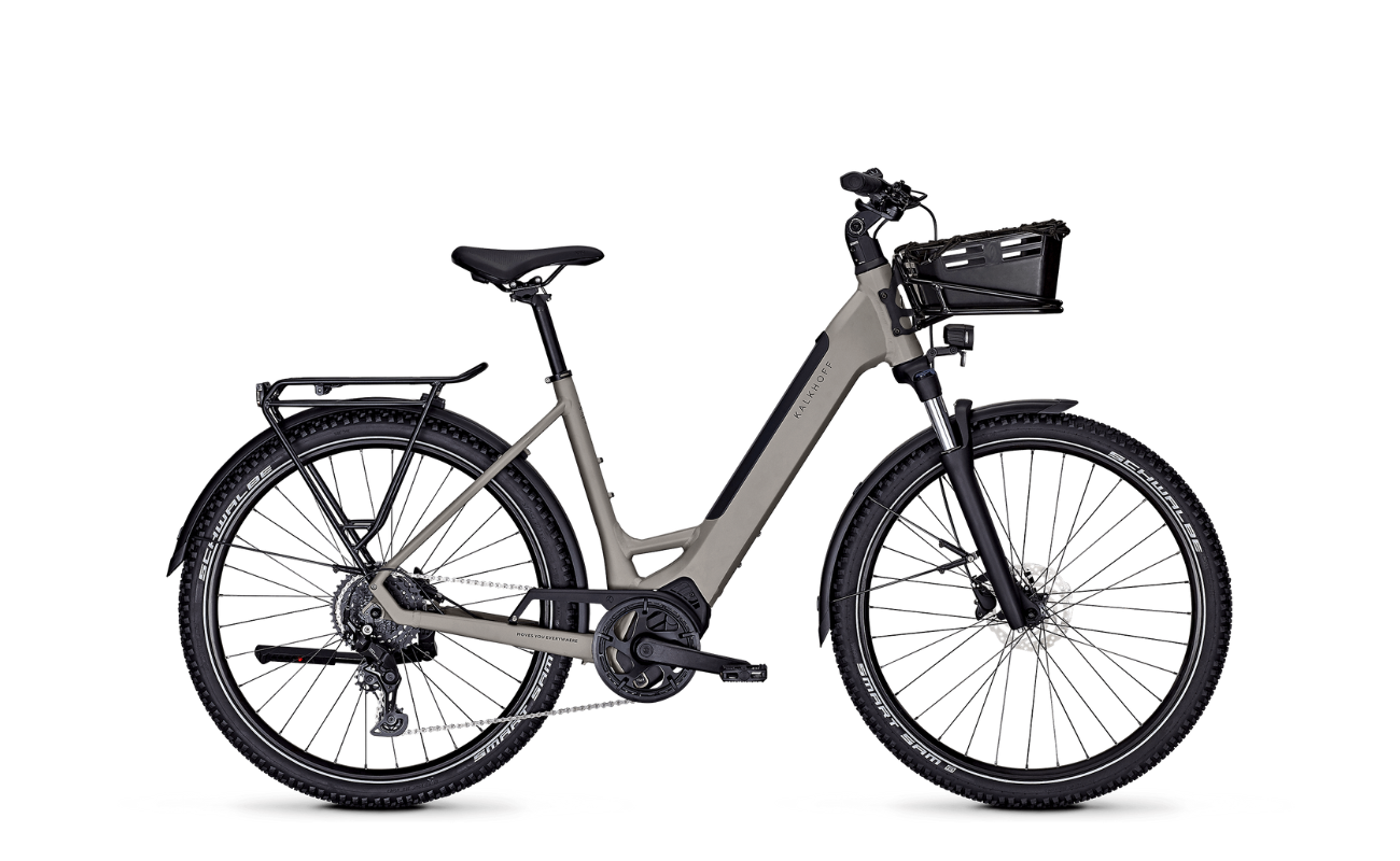 Kalkhoff Entice L.B Season Wave EBike Moonstonegrey matt with basket | Electric bikes Brisbane