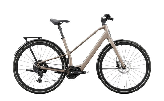 Orbea Carpe 20 E-Bike Nickel Colorway | Electric Bikes Brisbane