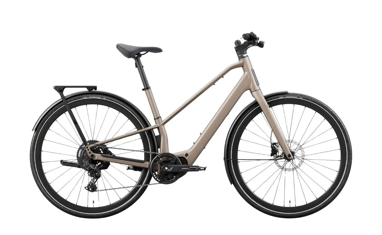 Orbea Carpe 20 E-Bike Nickel Colorway | Electric Bikes Brisbane