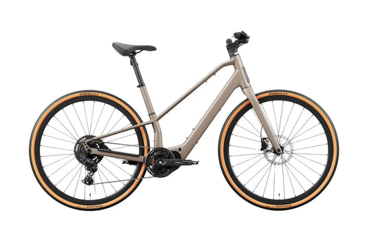 Orbea Carpe 25 E-Bike in Nickel Colorway | Electric Bikes Brisbane