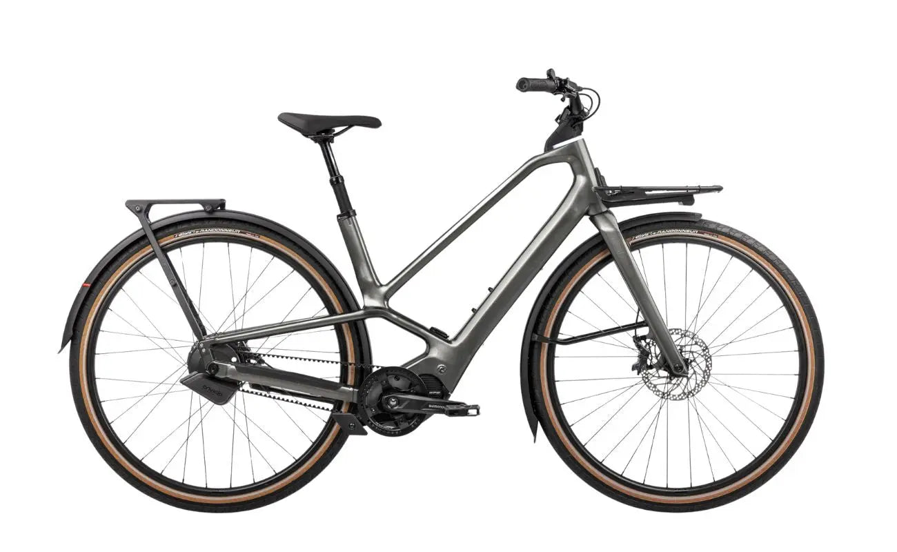Orbea Diem 10 E-Bike  Electric Bikes Brisbane