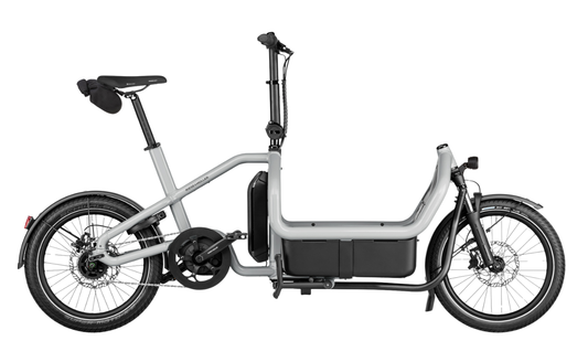 Riese & Muller Carrie2 City EBike Shadow Colour Variant | Electric Bikes Brisbane