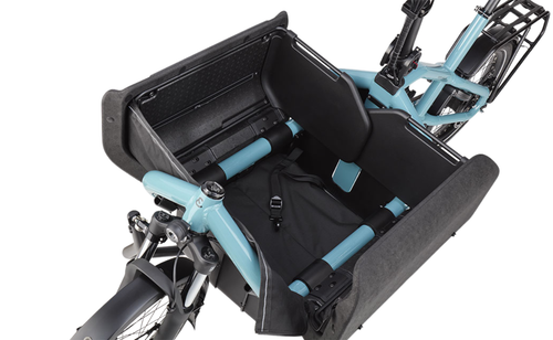 Riese & Muller Carrie2 EBike Dog Kit