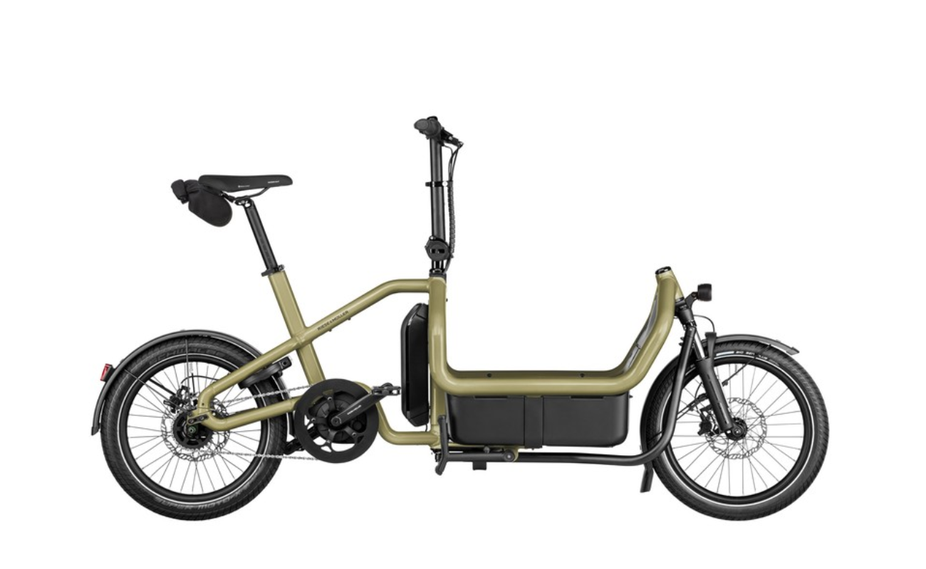 Riese & Muller Carrie2 Automatic Cargo EBike Anise Colour | Electric Bikes Brisbane