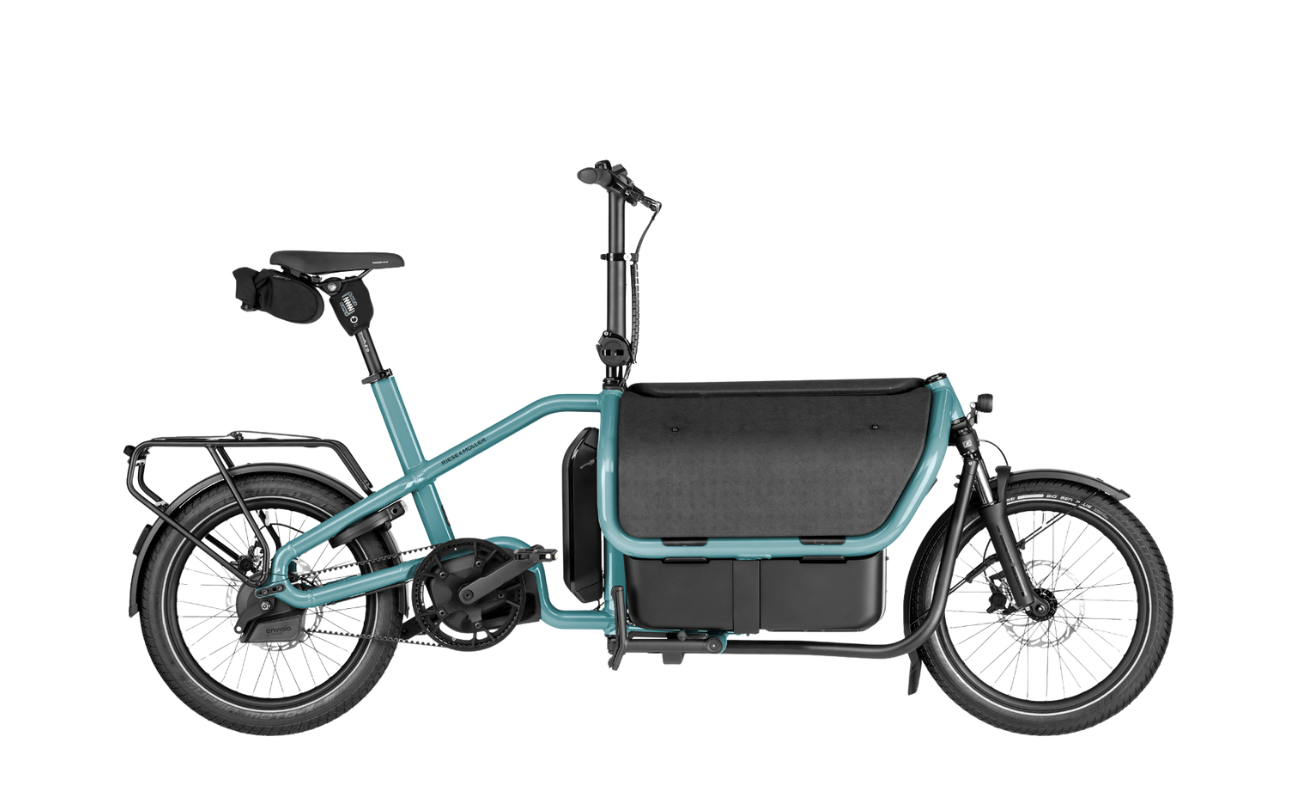 Riese & Muller Carrie2 Automatic Cargo EBike with Dog Kit, Aqua colour 
