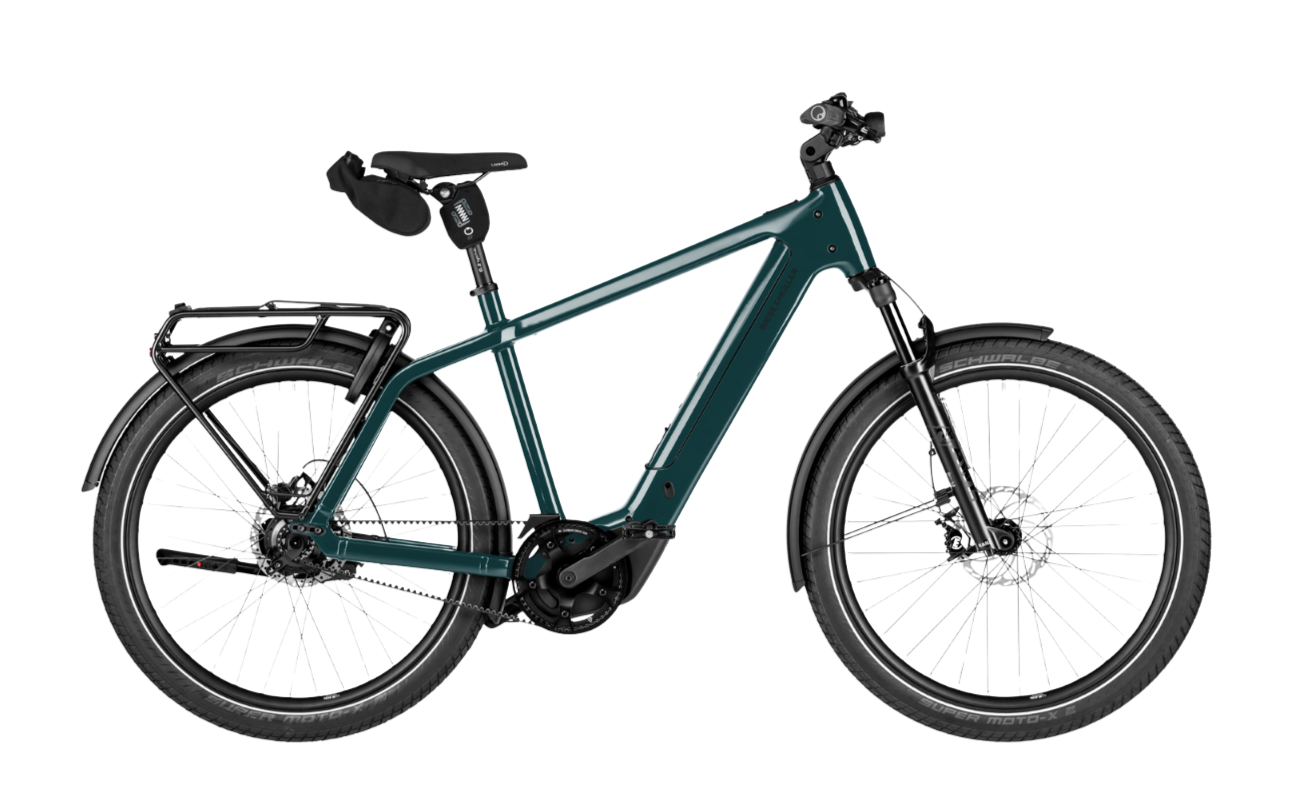 Riese & Muller Charger5 Rohloff ABS EBike Pine Colour Variant | Electric Bikes Brisbane