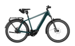 Riese & Muller Charger5 Rohloff ABS EBike Pine Colour Variant | Electric Bikes Brisbane