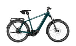 Riese & Müller Charger5 Vario Pine electric bike side view Brisbane