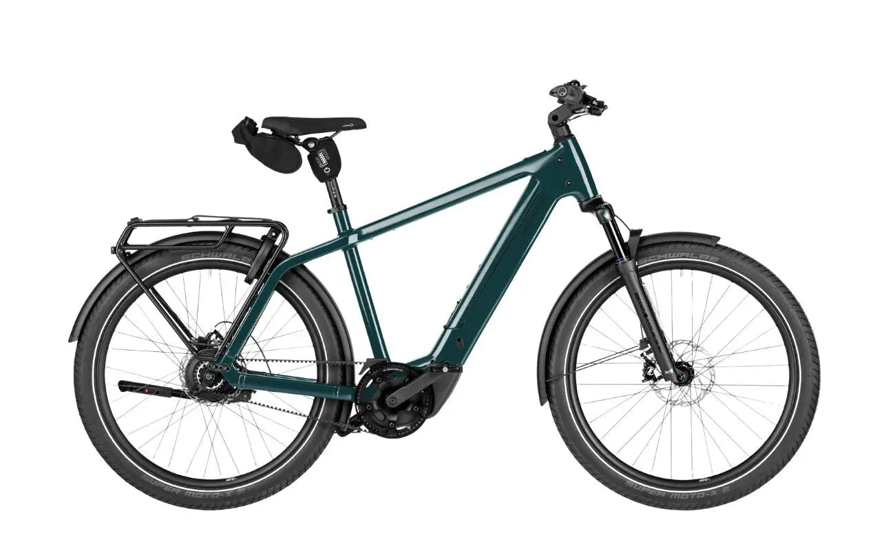 Riese & Muller Charger5 Vario 800Wh EBike Pine Color | Electric Bikes Brisbane