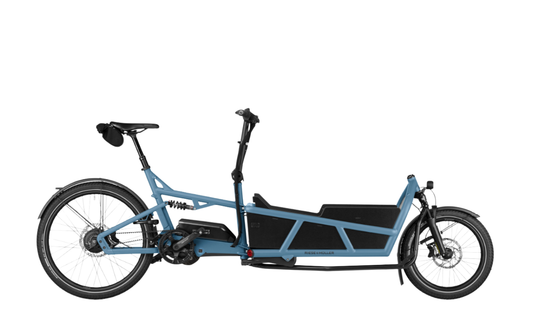 Riese & Muller Load5 75 Vario Ebike Arctic Main 2