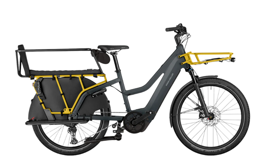 Riese & Muller Multicharger3 Mixte Family EBike