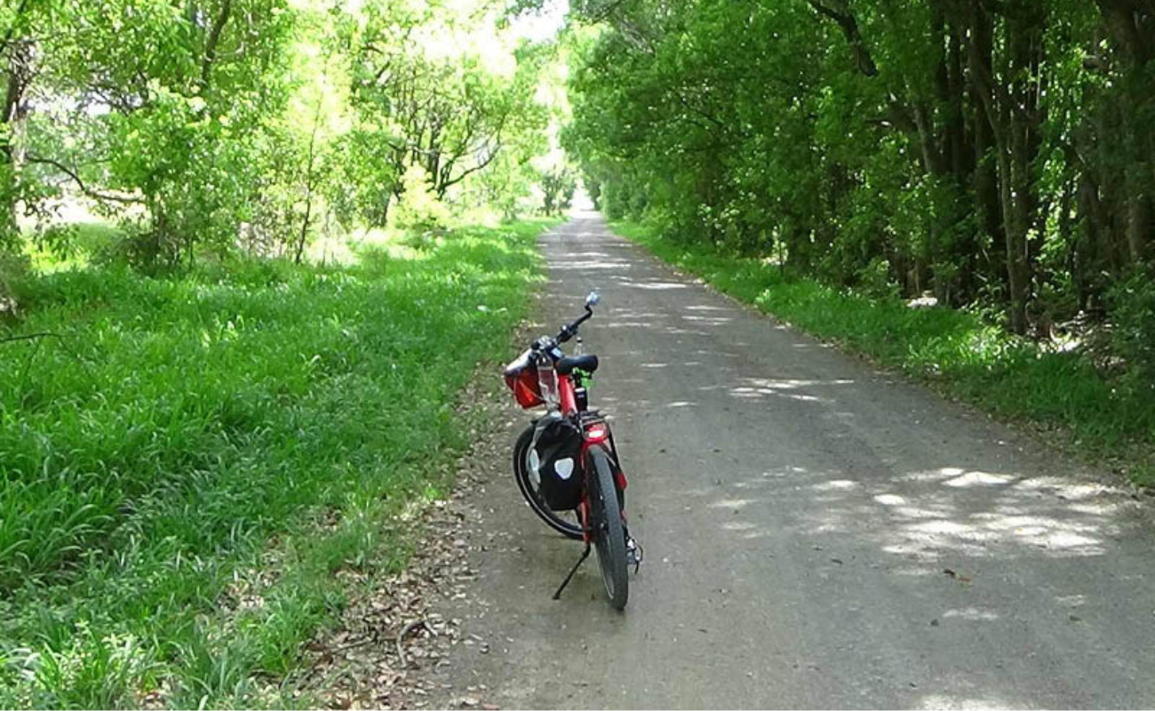 Riese & Muller Offroad Kit rear view | Electric Bikes Brisbane