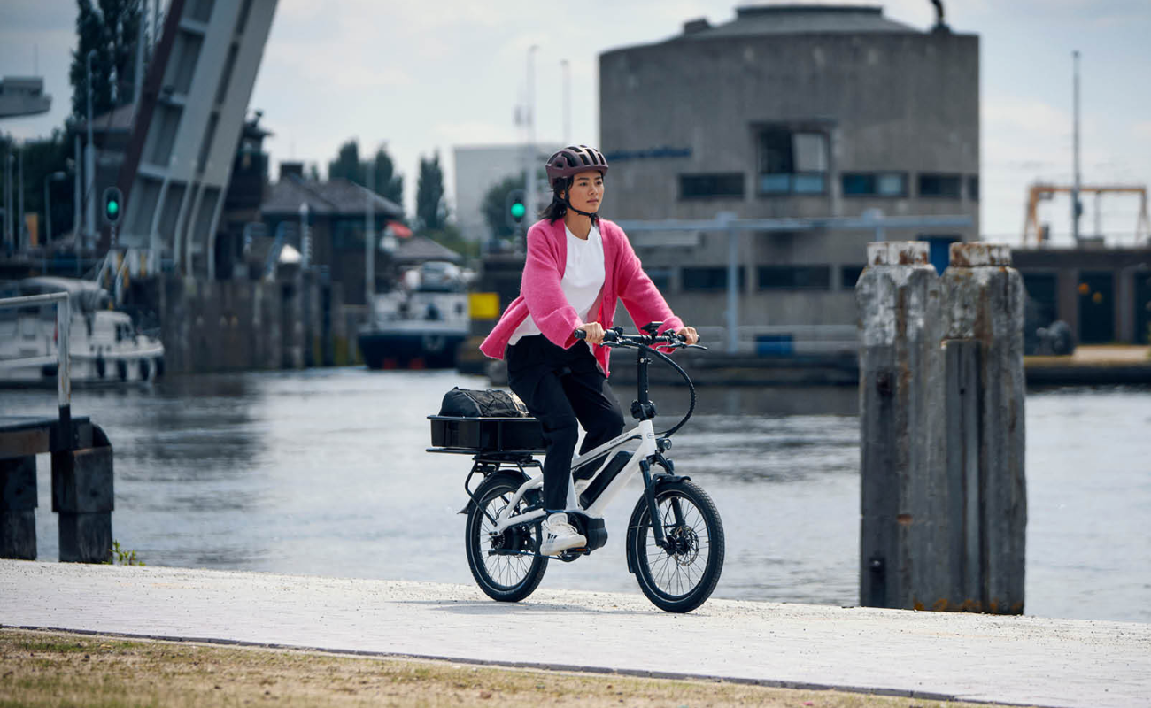 Rider with her cargo box installed and bag on a Riese & Muller Tinker2 electric bike