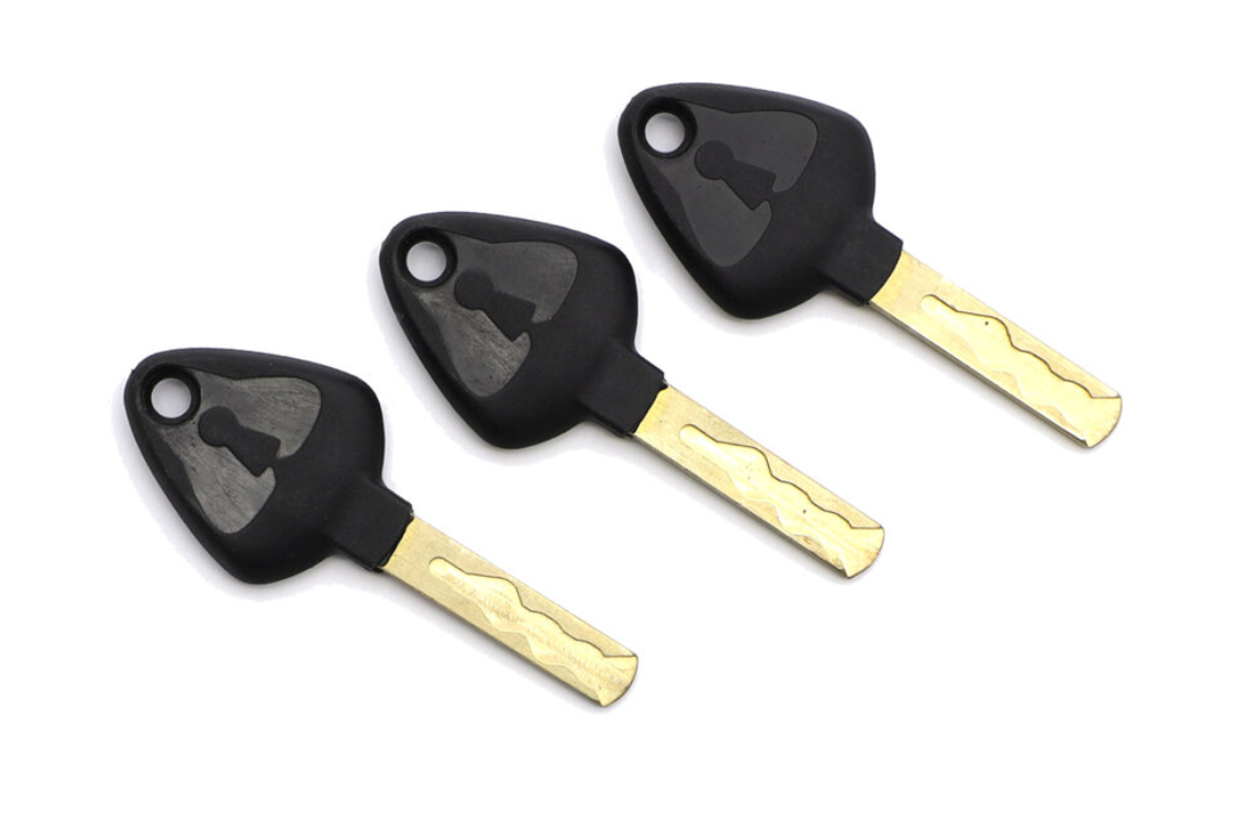 Seatylock Viking Silver Chain Lock Keys