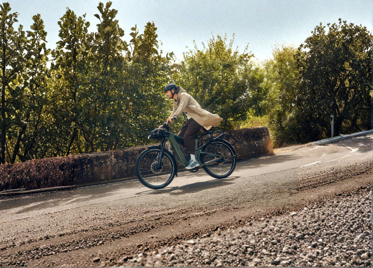 Riese & Muller Rail Trail & Touring E-Bikes