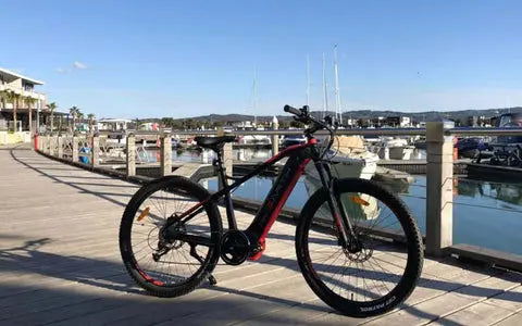rex trekking e bike Earth T-Rex 650B eMTB - Last ones